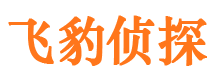 哈尔滨外遇出轨调查取证